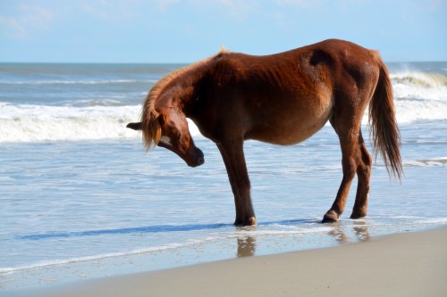 1 10-4-2014 2-14-51 PM