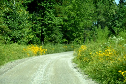 dirt 9-7-2015 10-39-27 AM