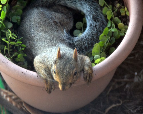 hanging around 9-9-2015 3-43-39 PM