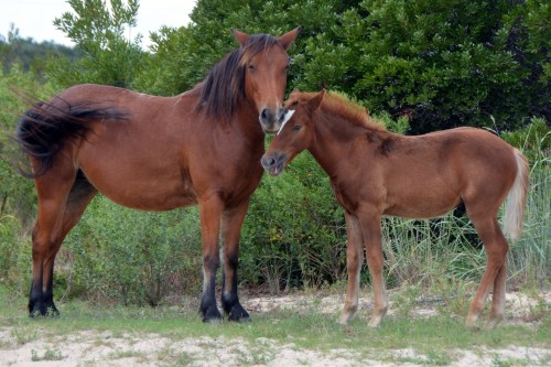 mombabe2 9-10-2015 1-44-45 PM