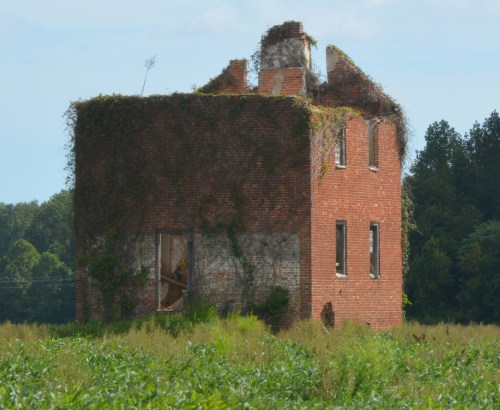 sycamore1 9-7-2015 10-26-07 AM