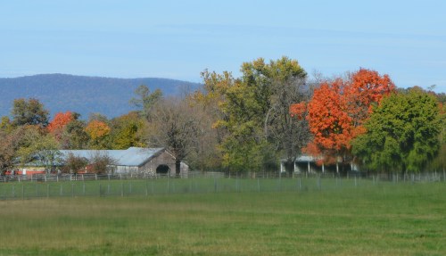 barn and foliage 10-22-2015 12-39-07 PM