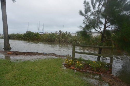 fence high tide 10-4-2015 3-27-01 PM