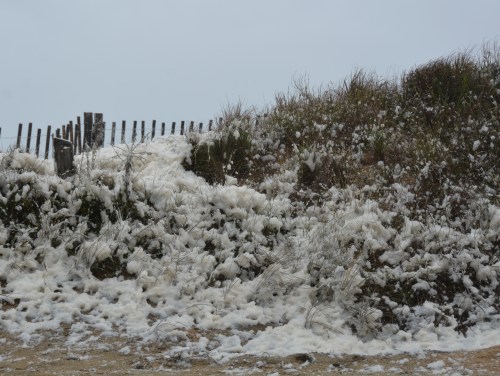 ocean wash on dune1 10-5-2015 2-11-31 PM
