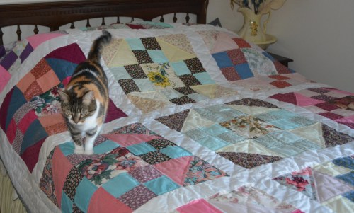 This quilt carries the Sundae seal of approval