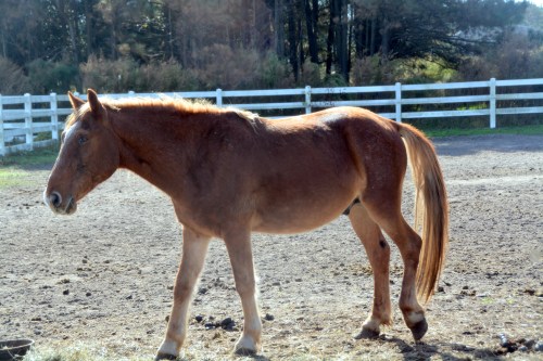 am 10-31-2015 11-06-26 AM