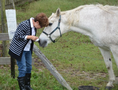 db aggie 10-5-2015 1-39-47 PM