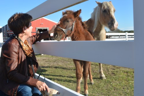 db wm pebbles2 thru fence 10-31-2015 9-32-21 AM 10-31-2015 9-32-21 AM