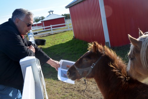 jr and pic of wm 10-31-2015 10-03-51 AM