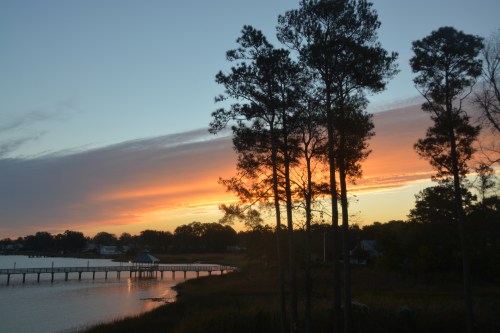 sunrise and trees 10-30-2015 7-24-36 AM