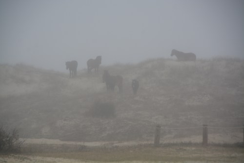 6 on the dunes 12-26-2015 3-56-37 PM