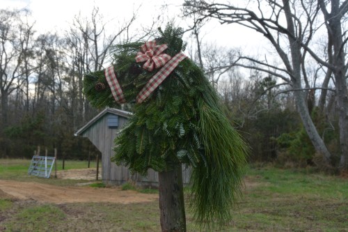 aggies 12-13-2015 3-41-43 PM