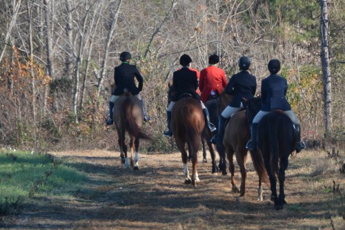 bye 12-6-2015 11-20-17 AM