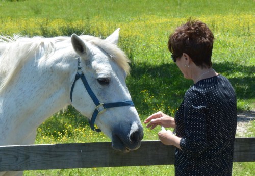 db and aggie may22 5-22-2015 1-11-17 PM