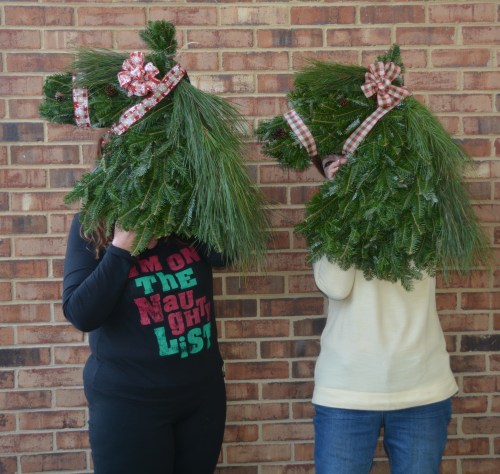 donna db silly horse pic 12-12-2015 3-54-13 PM