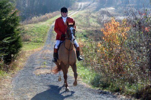 path 12-6-2015 11-20-52 AM