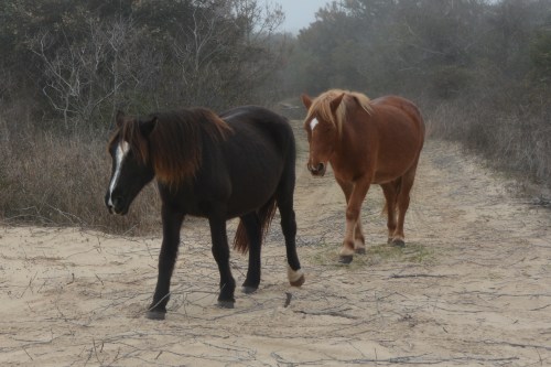 two 12-26-2015 3-02-58 PM