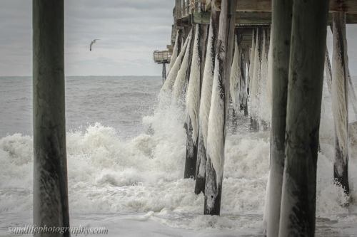 Courtesy Sandlife Photography