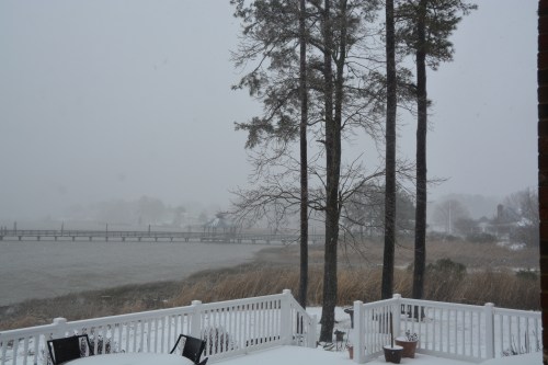 blizzard 1-23-2016 2-53-53 PM