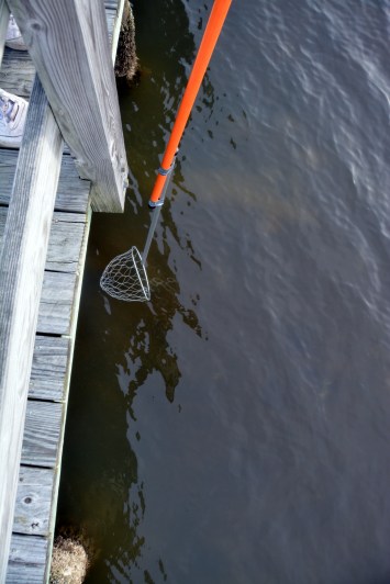 fish net 1-20-2016 3-04-55 PM