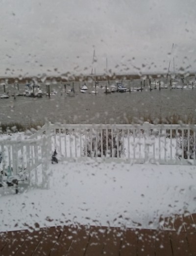 frozen rain 1-22-2016 4-40-22 PM