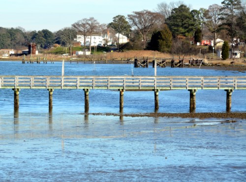 low tide 1-20-2016 2-24-31 PM