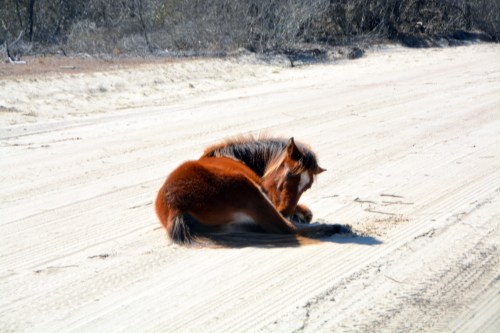 diamond bath 2-27-2016 1-04-53 PM