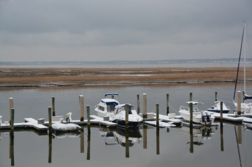 marina reflections 2-12-2016 4-49-58 PM
