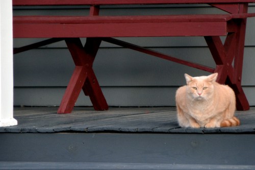 snugg the loaf 10-26-2015 8-14-59 AM