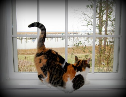 sundae 2-10-2012 10-44-21 AM