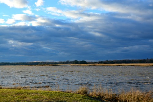 clouds 2-25-2016 5-18-22 PM