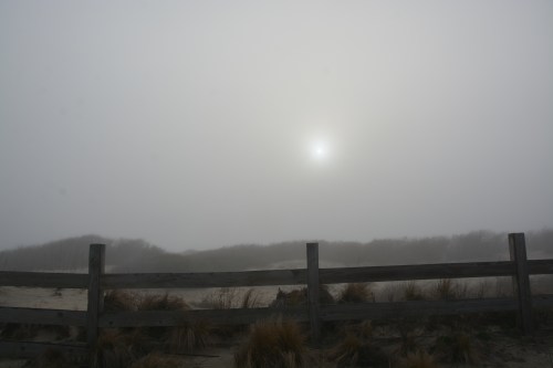 foggy fence 3-17-2016 8-28-40 AM
