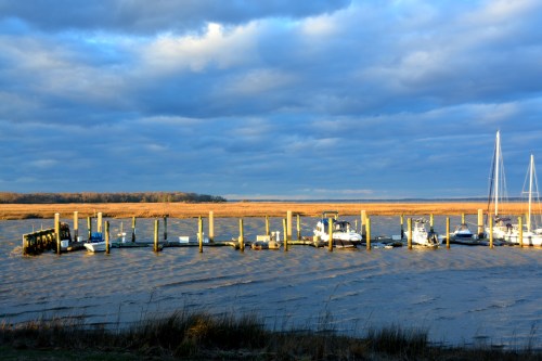 marsh grass and clouds 2-25-2016 5-29-17 PM