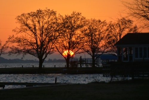 sunrise 3-17-2016 6-13-11 AM