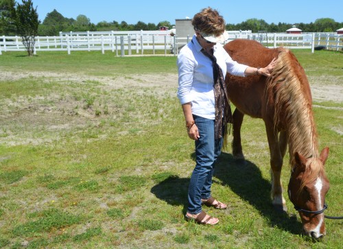 amadeo and db1 5-14-2016 2-04-45 PM 5-14-2016 2-04-45 PM