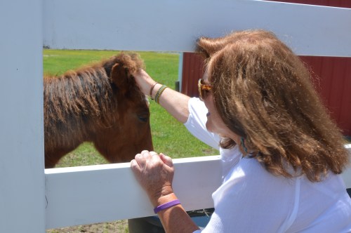 donna and wm 5-14-2016 12-36-24 PM