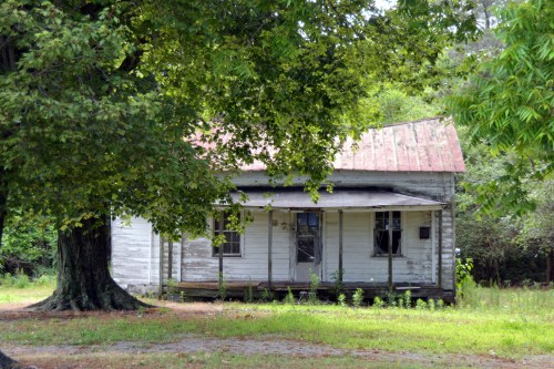 miss annie rose's 6-17-2015 9-27-43 AM