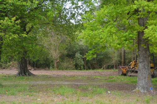 miss annies house gone 5-17-2016 9-24-13 AM