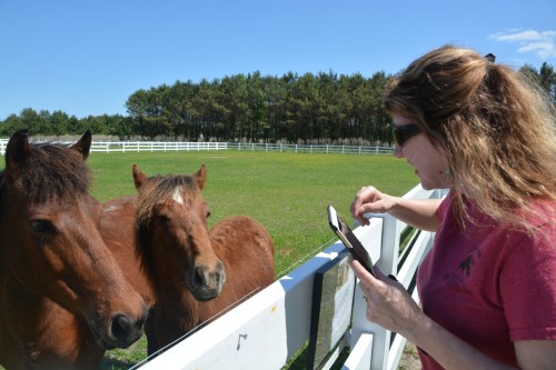 renee noel and william 5-14-2016 2-53-21 PM