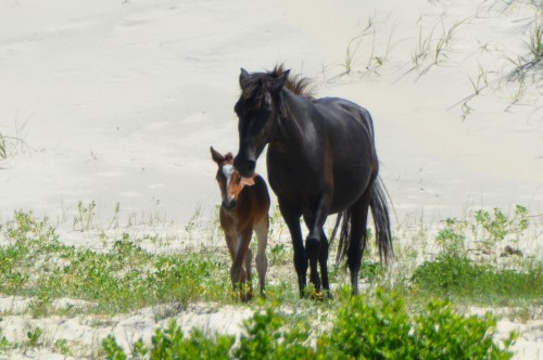baby and mom 6-18-2016 10-47-48 AM