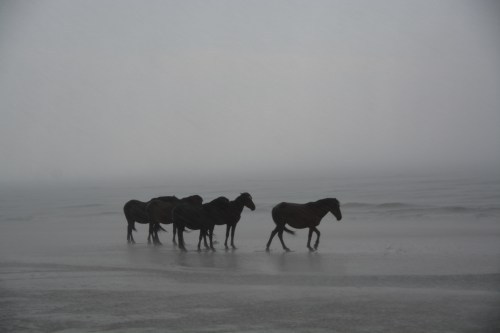 five in rain 6-12-2016 6-35-08 PM