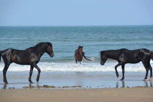 framed 5-25-2016 4-10-45 PM