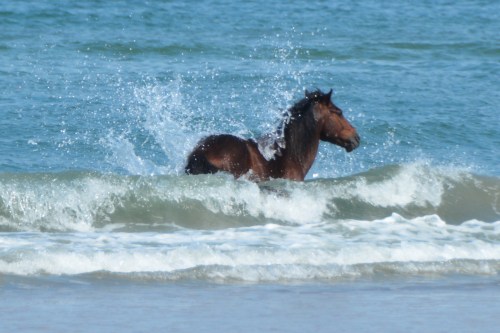 splash 5-25-2016 4-08-21 PM