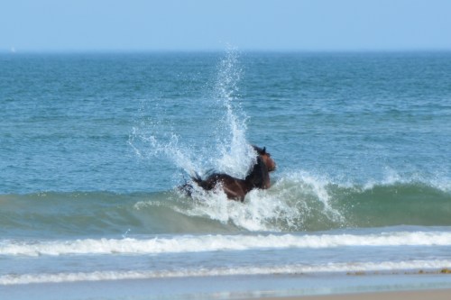 splash2 5-25-2016 4-08-37 PM