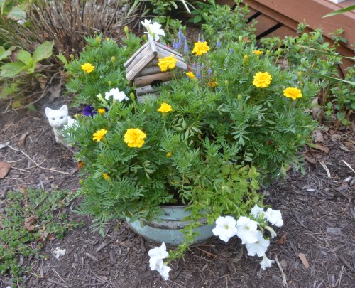 after pic washtub 7-19-2016 5-53-17 PM