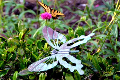 butterfly and stake 7-14-2016 6-42-15 PM