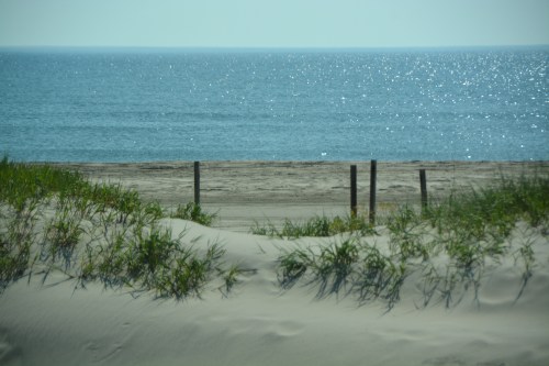 dune and ocean 7-24-2016 9-47-31 AM