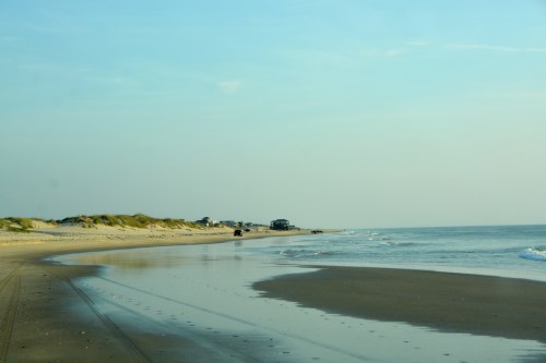 horses ahead 7-24-2016 7-03-24 AM