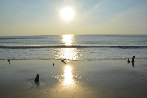 stumps sand and sun 7-24-2016 7-01-17 AM