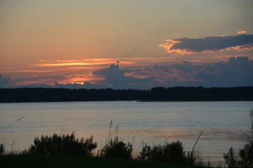 horse dragon 8-16-2016 7-48-20 PM